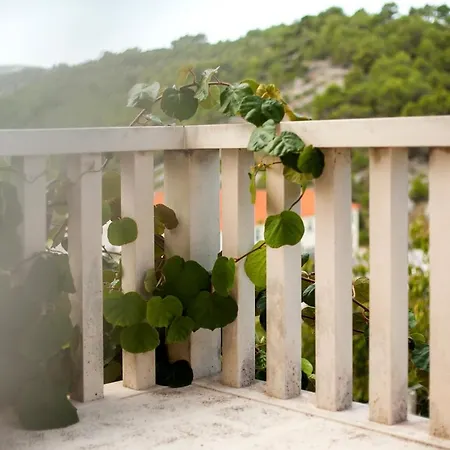 White House In The Forest * Pucisca